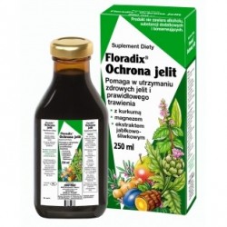 Floradix Ochrona jelit tonik 250 ml