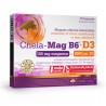 Chela-Mag B6 + D3  kapsułki 30 kaps.