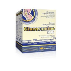 Glucosamine plus kapsułki 120 kaps.
