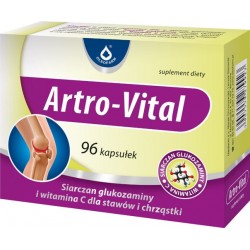 Artro-Vital kapsułki 96 kaps.