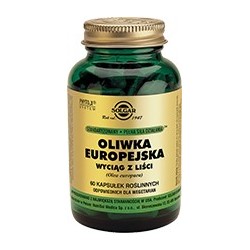 Oliwka Europejska wyciąg z liści Olea europea  kapsułki 60kaps.